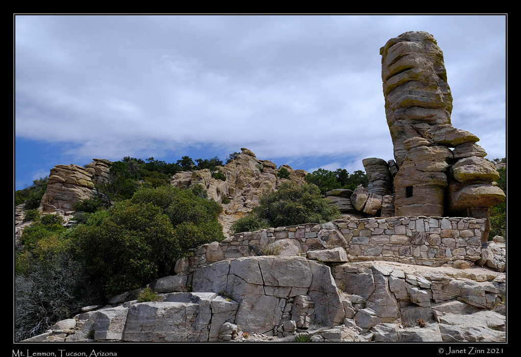 mt_lemmon_FJ302761