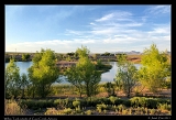  Willow Tank, near Cave Creek Canyon, Arizona � Janet Zinn