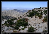  Mt. Lemmon, Tucson, Arizona � Janet Zinn