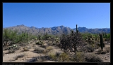  Sabino Canyon, Tucson, Arizona � Janet Zinn