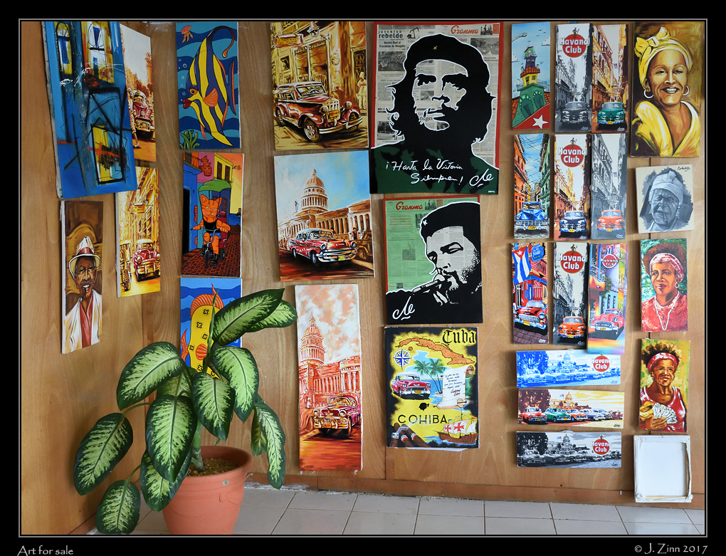 DSC_0507a