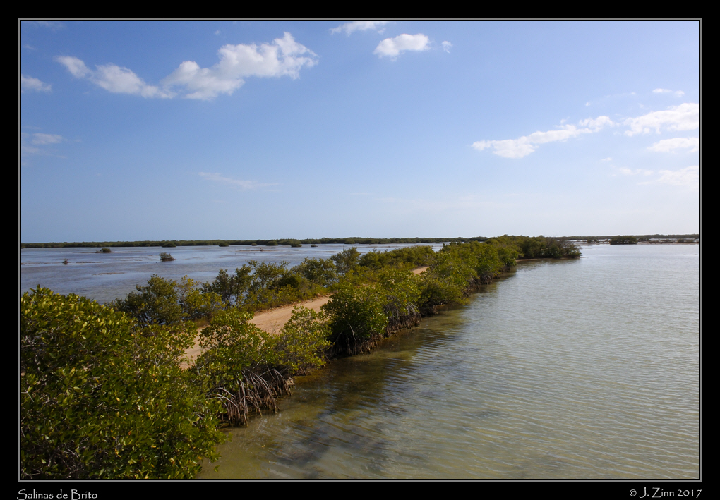salinas_de_brito_0589a