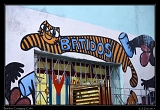  Batidos!  Camaguey, Cuba � Janet Zinn