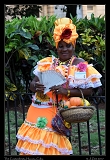  The Costumbrista, Havana, Cuba � Janet Zinn