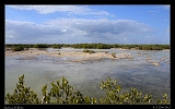  Salinas de Brito, Zapata, Cuba � Janet Zinn
