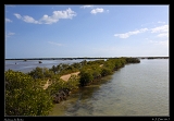  Salinas de Brito, Zapata, Cuba � Janet Zinn