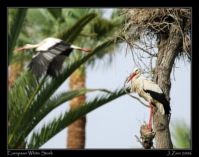 euws_2789a