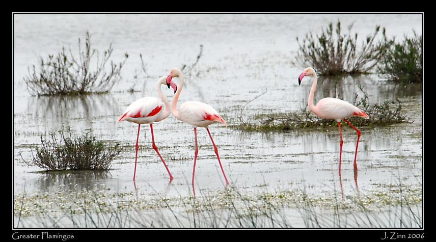 grfl_3235a