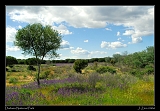  Coto Do�ana National Park � Janet Zinn