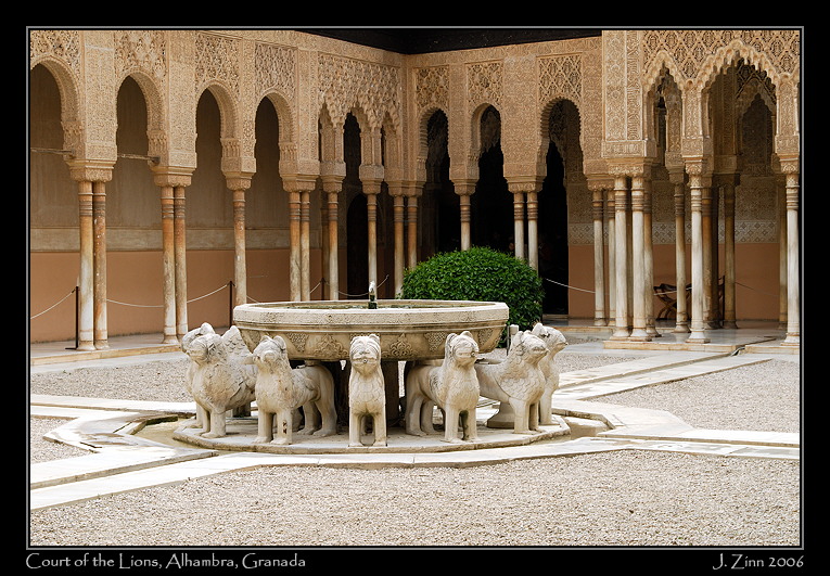 lions_2094a