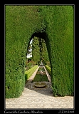 Generalife Gardens