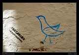  Grafitti, Albaycin � Janet Zinn