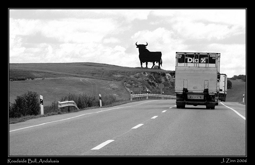 bull_2653bw