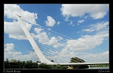  Alamillo Bridge, Sevilla � Janet Zinn