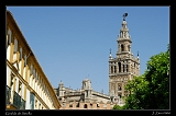  Giralda, Sevilla � Janet Zinn