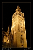  La Giralda, Sevilla � Janet Zinn