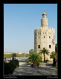  Torre del Oro, Sevilla � Janet Zinn
