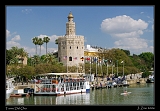  Torre del Oro, Sevilla � Janet Zinn