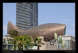  Frank Gehry's Fish, Barceloneta, Barcelona � Janet Zinn