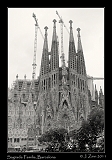  Sagrada Familia, Barcelona � Janet Zinn