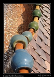  Casa Batllo, roof, Barcelona � Janet Zinn