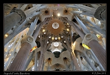  Sagrada Familia, interior, Barcelona � Janet Zinn