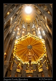  Sagrada Familia, interior, Barcelona � Janet Zinn