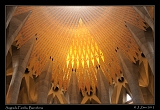  Sagrada Familia, interior, Barcelona � Janet Zinn