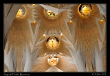  Sagrada Familia, interior, Barcelona � Janet Zinn