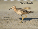 Shorebirds Calendar