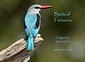 Birds of Tanzania